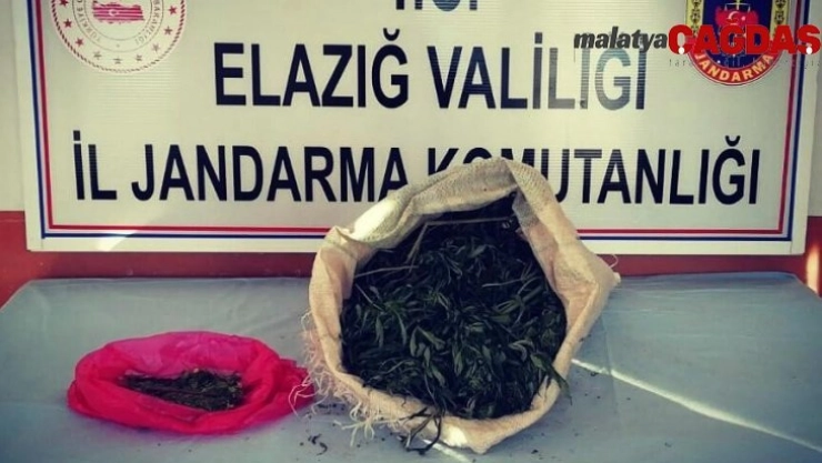 Jandarma ekipleri, uyuşturucu tacirini 2 kilo esrarla  yakaladı