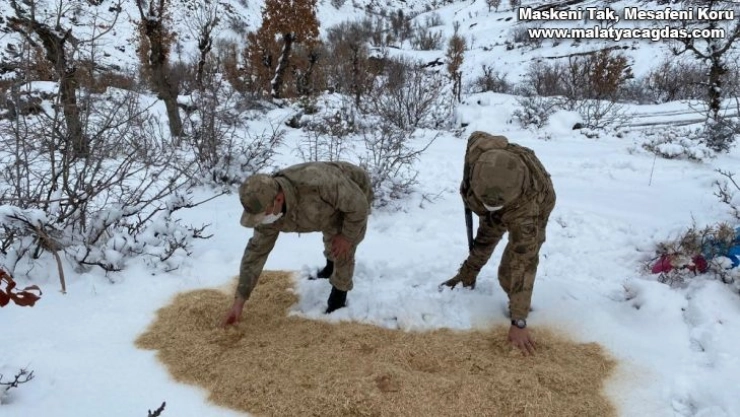 Jandarma yaban hayvanlarını unutmadı