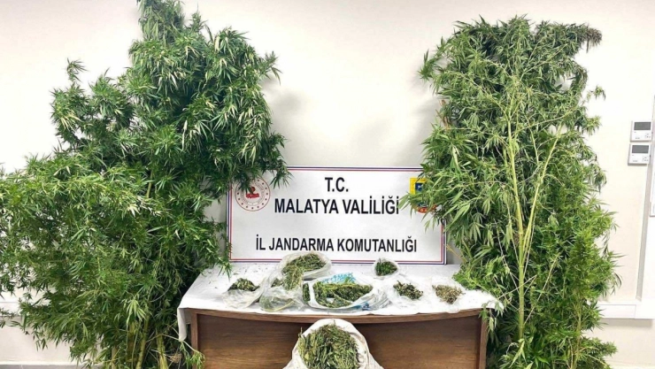 Jandarmadan Uyuşturucu Operasyonu: 5 Şüpheli Tutuklandı