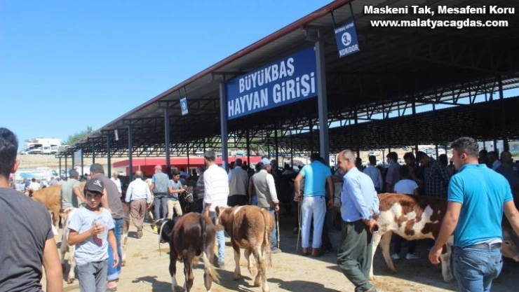 Kahta Kapalı Hayvan Pazarı hizmete açıldı