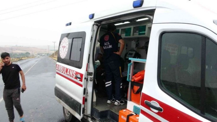 Kahvaltı yapmak için ağaç altına sığınan 6 çobana yıldırım düştü