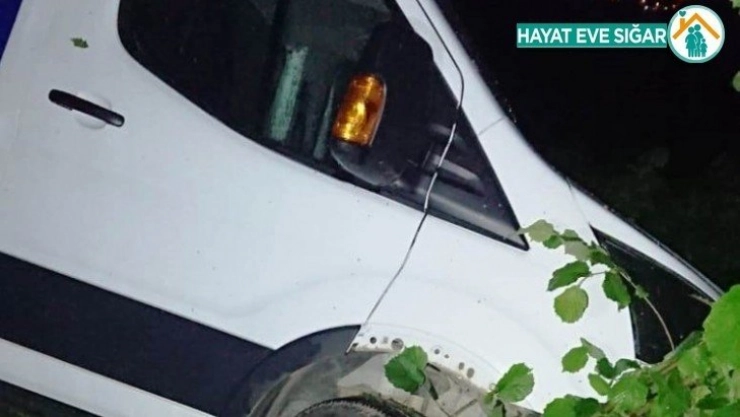 Kamyonet fındık bahçesine yuvarlandı: 1 yaralı