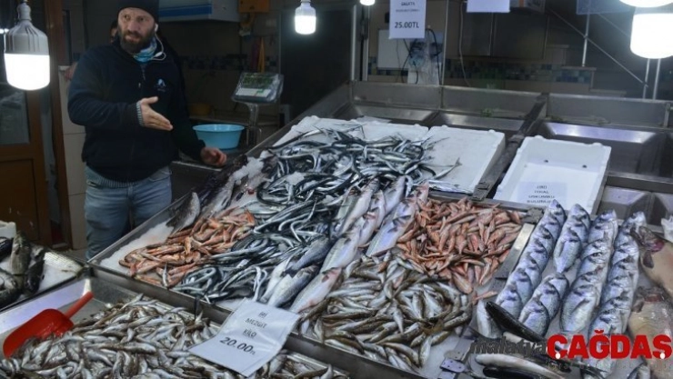 Karadenizli balıkçıların yüzü dip balıklarıyla gülüyor