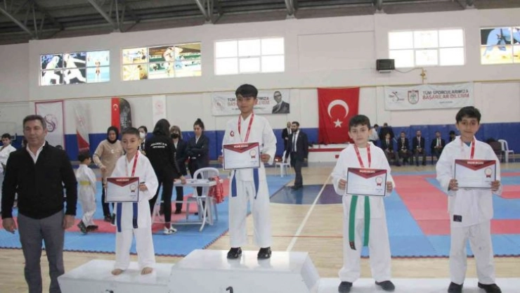 Karatede madalyalar sahiplerini buldu