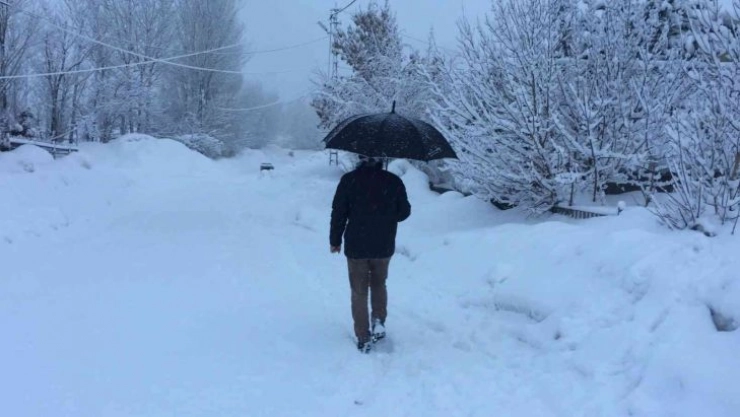 Karlıova'da kar yağışı etkisini sürdürüyor