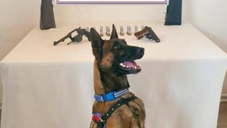 Kars'ta jandarma 2 tüfek, 4 tabanca ele geçirdi