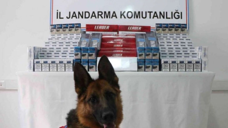 Kars'ta kaçak sigara ele geçirildi