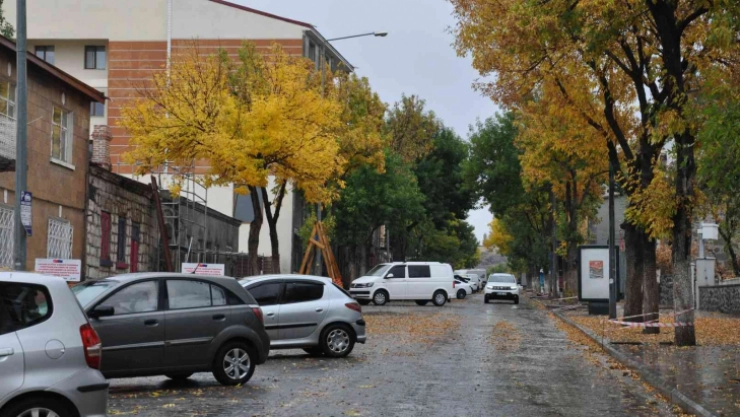 Kars'ta sonbaharda renk cümbüşü yaşanıyor