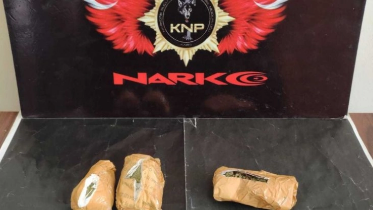 Kars'ta uyuşturucu narkotik köpek Daxo'ya takıldı