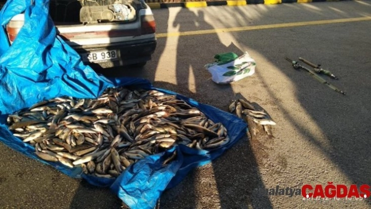 Kastamonu'da yasak olan 20 tırıvırı yakalandı