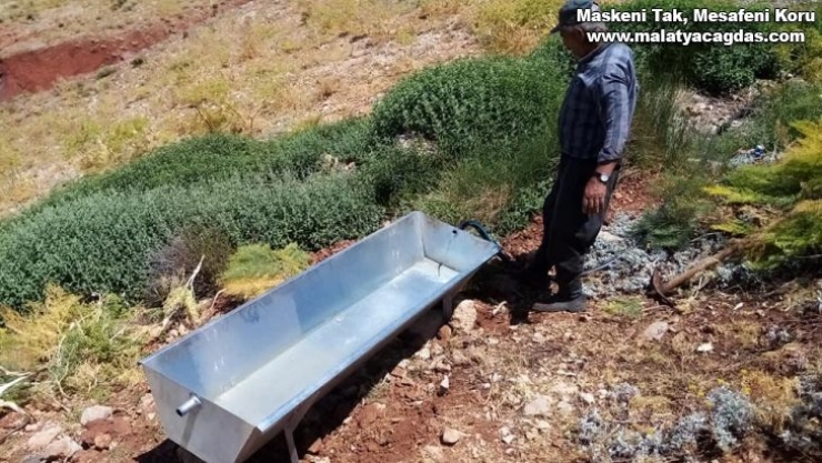 Kavurucu sıcaklarda yaban hayvanları unutulmadı