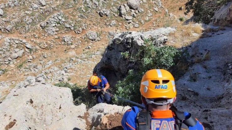 Kayalıklarda 5 gün mahsur kalan 2 keçi AFAD ekipleri tarafından kurtarıldı