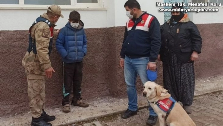 Kayıp çocuğu 6 saat sonra iz takip köpeği buldu