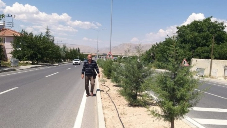 Kayısı için Ankara ya yürüyerek gidiyor