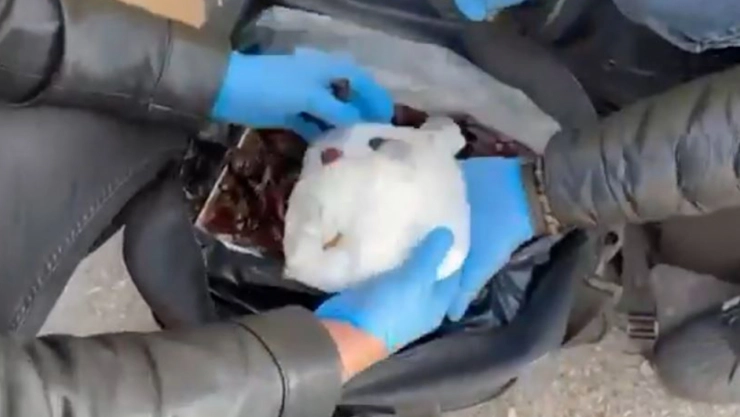 Kayseri'de 2,5 kilogram uyuşturucu ele geçirildi