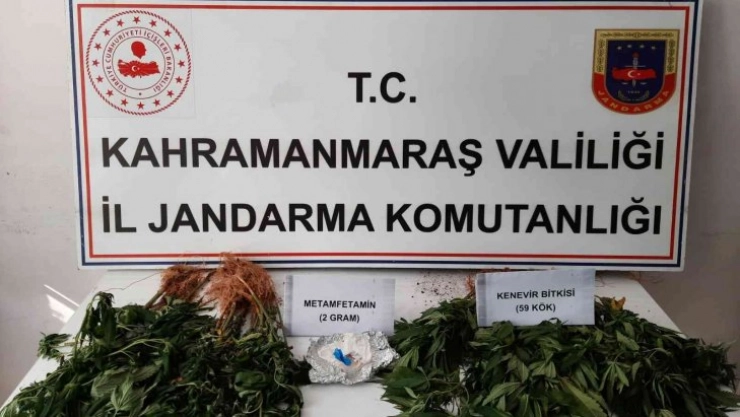 Kenevir ve sentetik uyuşturucu operasyonunda 1 gözaltı
