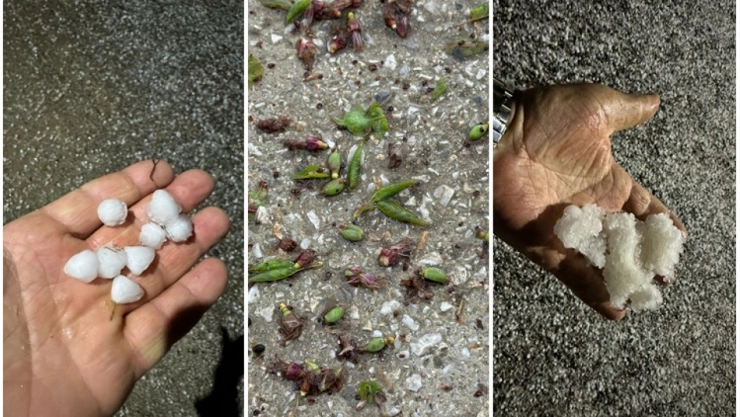 Keskin'den Milletvekillerine Çağrı, Kayısı Üreticisine Sahip Çıkın