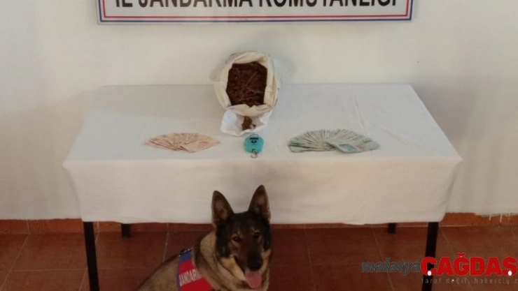 Kırklareli'de uyuşturucu operasyonunda 5 gözaltı