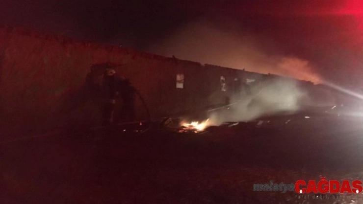 Konya'da ahır yandı, 240 hayvan telef oldu