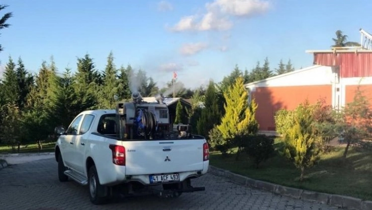 Körfez'de sinekle mücadele sürüyor