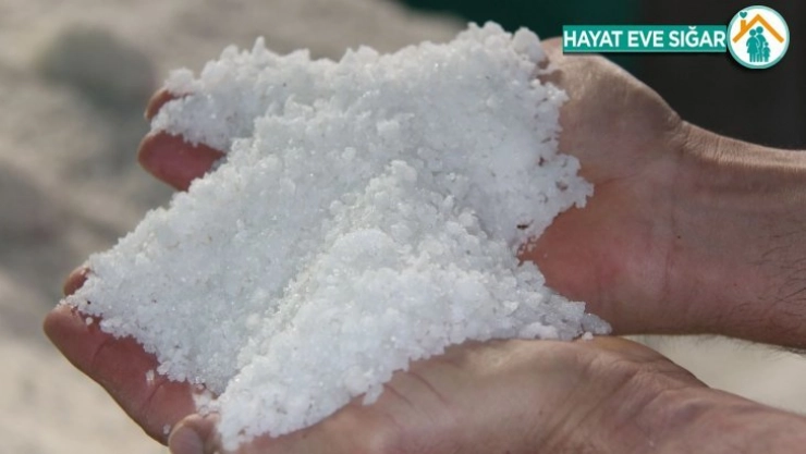 Korona virüs tuz satışlarını vurdu
