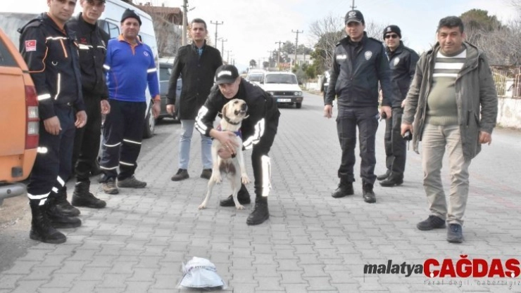 Köyceğiz'de kaybolan İngiliz aranıyor