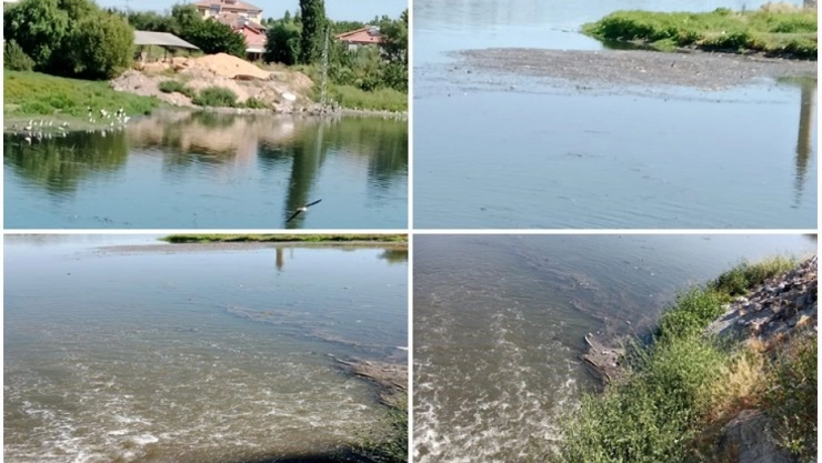 Köylü kokudan duramıyor