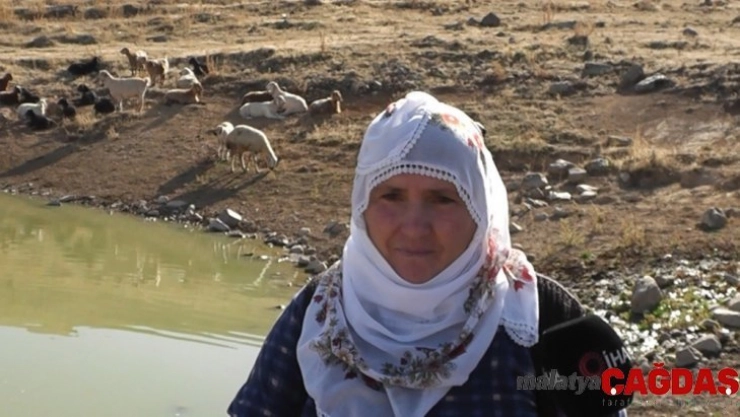Köylüler, Ayvazhacı'daki gölde hobi amaçlı balık besliyor
