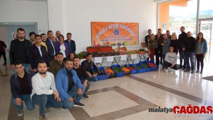 Kumluca'da seracılık programı öğrencileri sebze tanıtım haftası