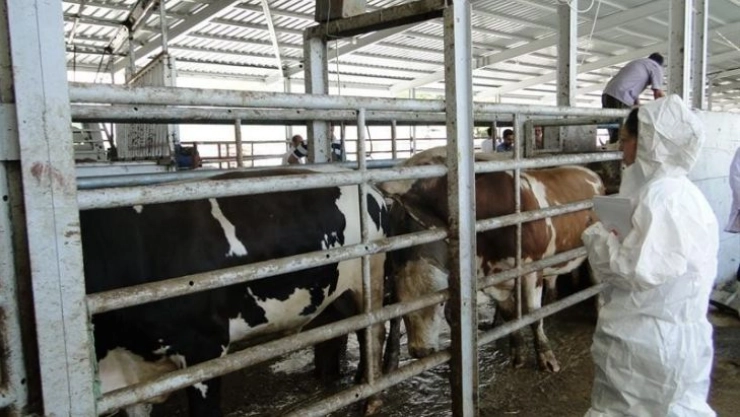 Kurban Bayramı öncesi sıkı kontrol