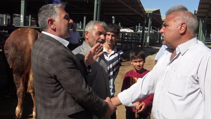 Kurban Bayramı yaklaştı pazarlıklar kızıştı