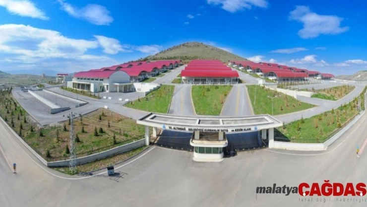 Kurbanlıklara sağlık taraması