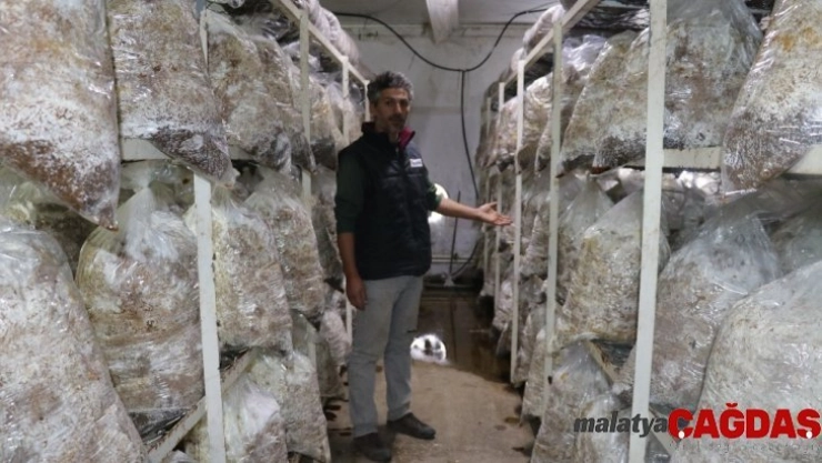 Kurduğu tesiste 2 ton mantar üretmeyi hedefliyor