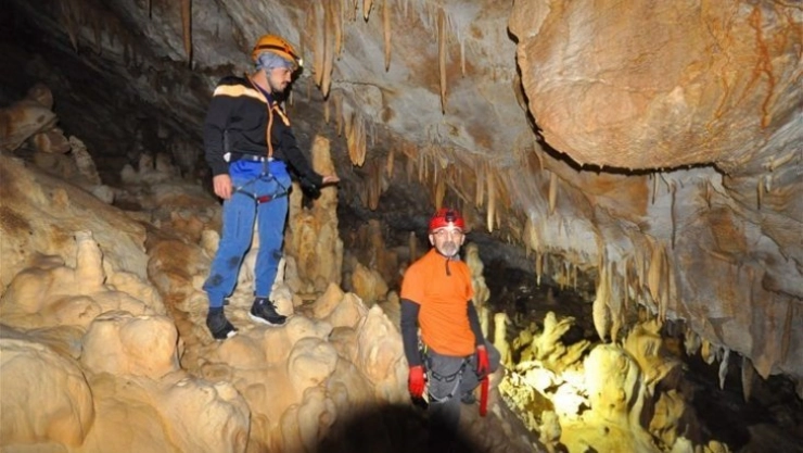 Kuşlar ortaya çıkardı