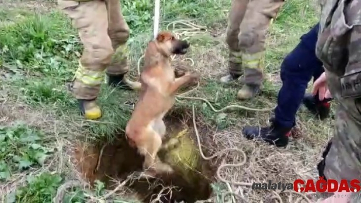 Kuyuya düşen köpeği kurtarma operasyonu kamerada