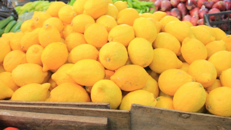 Limon ihracatı geçici olarak durduruldu