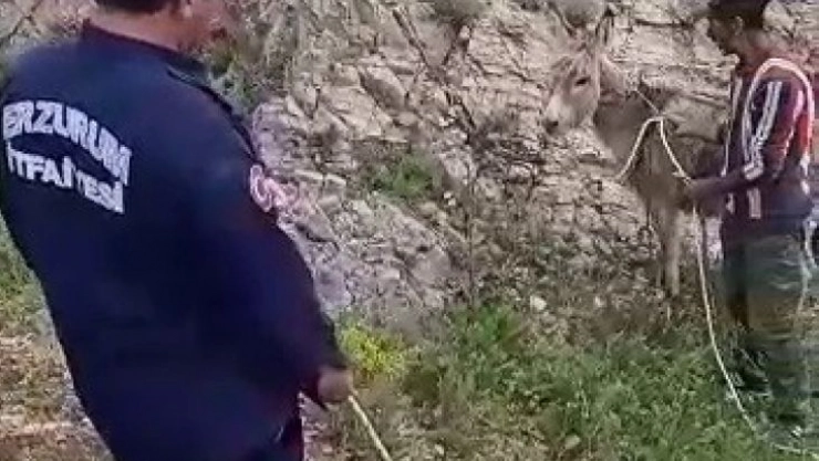 Mağarada eşek kurtarma operasyonu