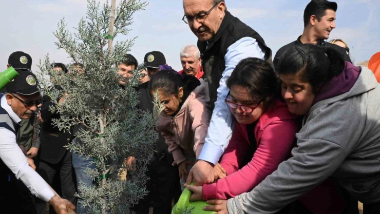 733 bin fidan toprakla buluştu