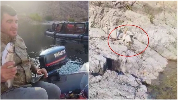 Malatya'da amatör balıkçı ile kedi arasındaki diyalog gülümsetti