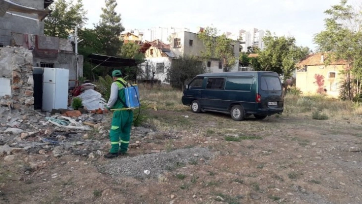 Malatya da haşereyle mücadele çalışmaları