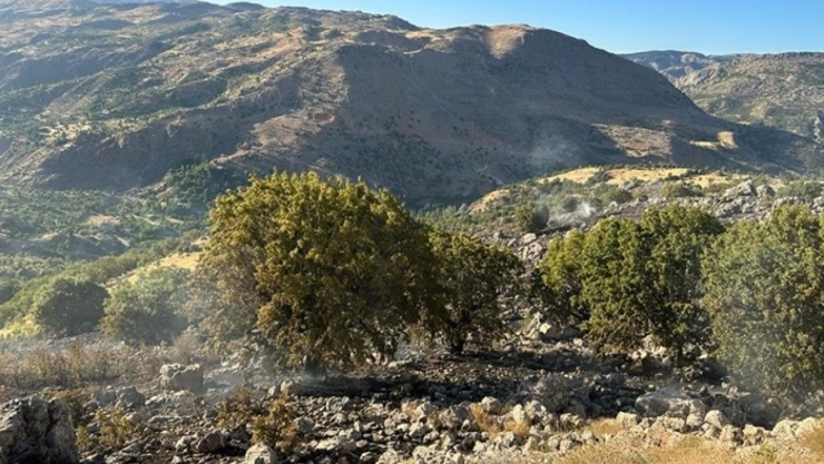 Malatya'da orman yangını söndürüldü