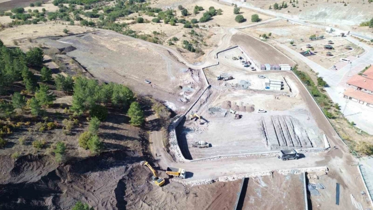 Sokak hayvanları için örnek tesis