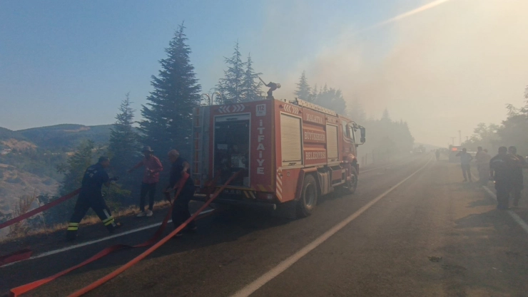 Malatya'daki Orman Yangınları Kontrol Altına Alındı