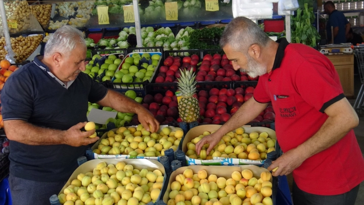 Malatya Kayısısında Etiket Şaşırttı: Fiyatlar Kırmızı Etle Baş Başa