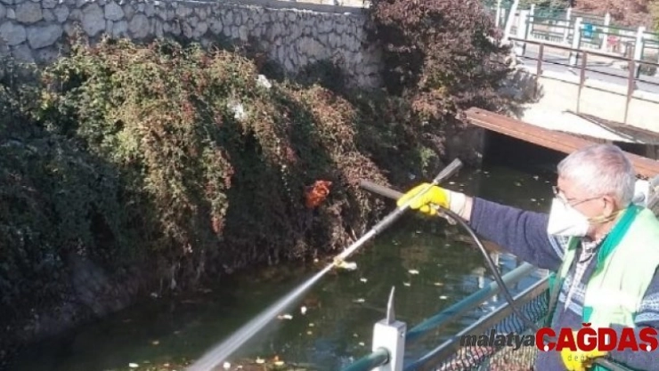 186 mahallesinde ilaçlama yapılıyor