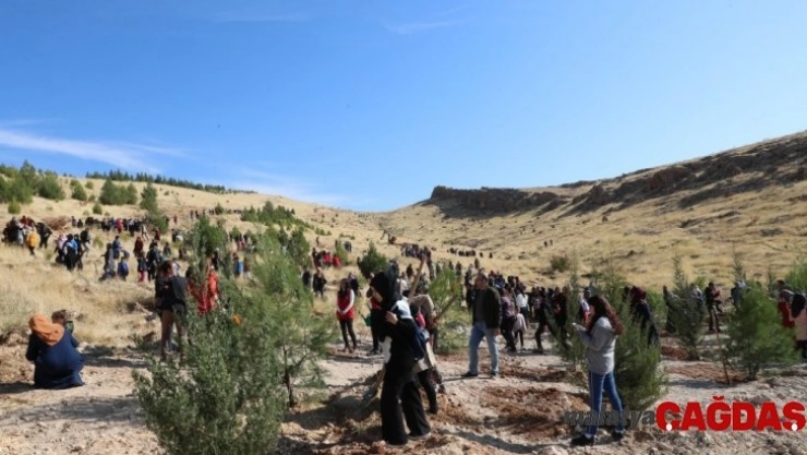 Mardin'de Bir Dünya Kadın Hatıra Ormanı oluşturuldu