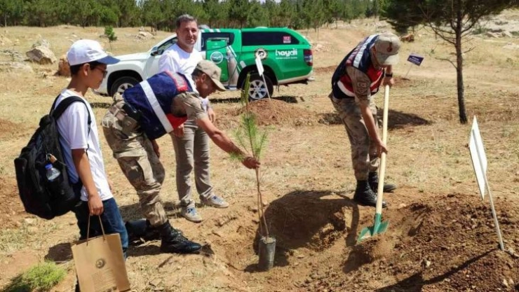Mardin'de fidanlar toprakla buluştu