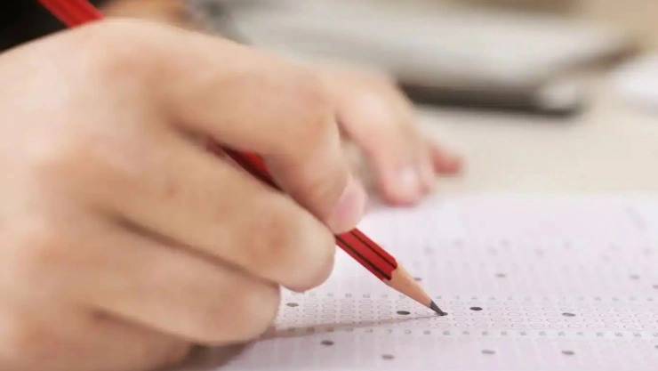 MEB bursluluk sınav sonuçları açıklandı