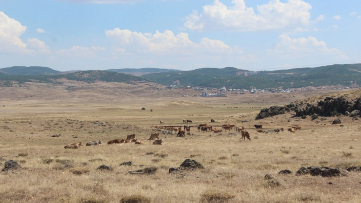 Meralık alanın satılmasına köylüler tepki gösterdi