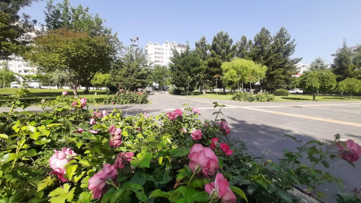 Meteoroloji Uyardı: Sıcaklıklar Mevsim Normallerinin Üzerinde